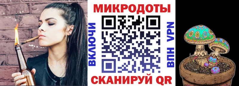 Псилоцибиновые грибы Psilocybine cubensis Ардатов